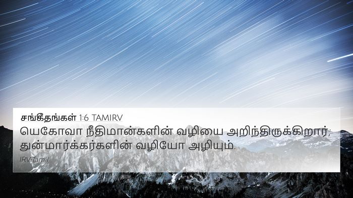 சங்கீதங்கள் 1:6 TAMIRV Bible Verse Image