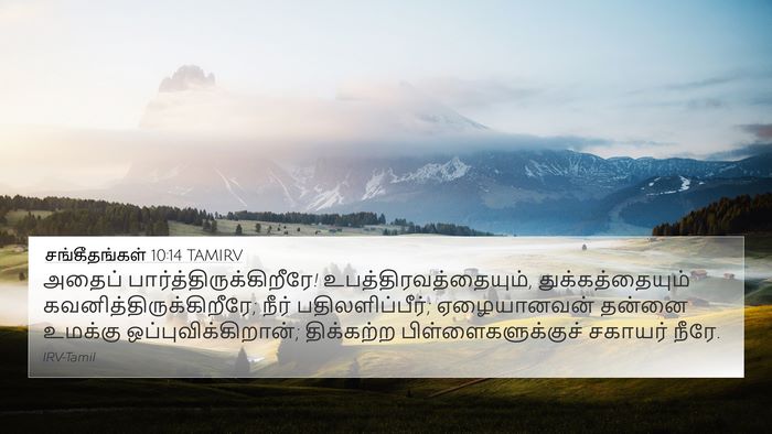 சங்கீதங்கள் 10:14 TAMIRV Bible Verse Image