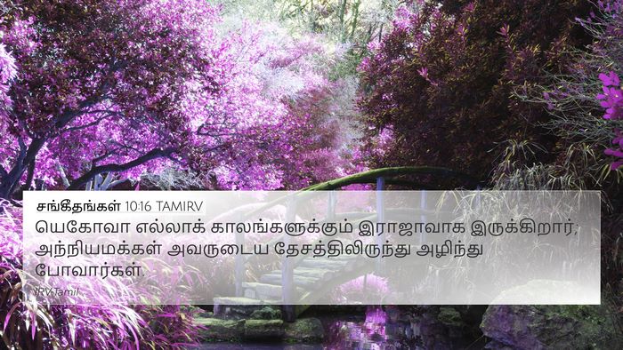 சங்கீதங்கள் 10:16 TAMIRV Bible Verse Image