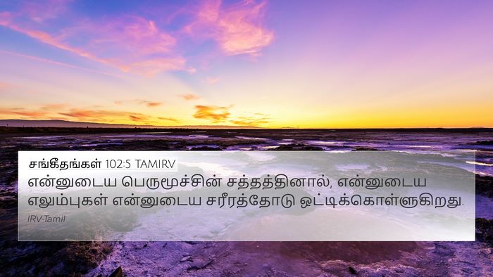 சங்கீதங்கள் 102:5 TAMIRV Bible Verse Image