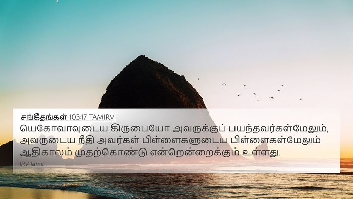 சங்கீதங்கள் 103:17 TAMIRV Bible Verse Image