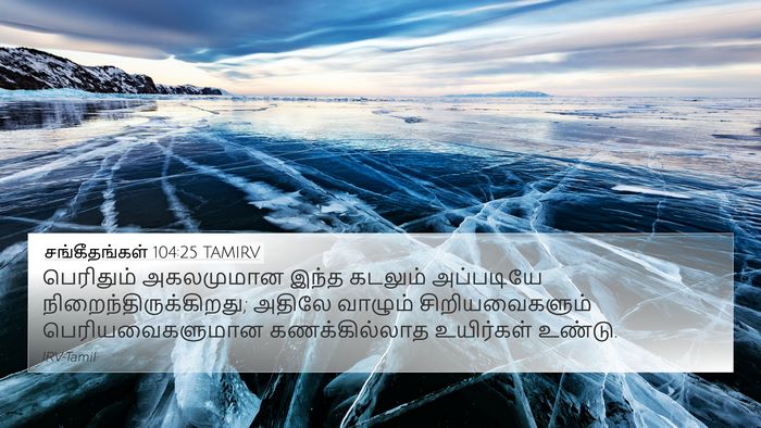 சங்கீதங்கள் 104:25 TAMIRV Bible Verse Image
