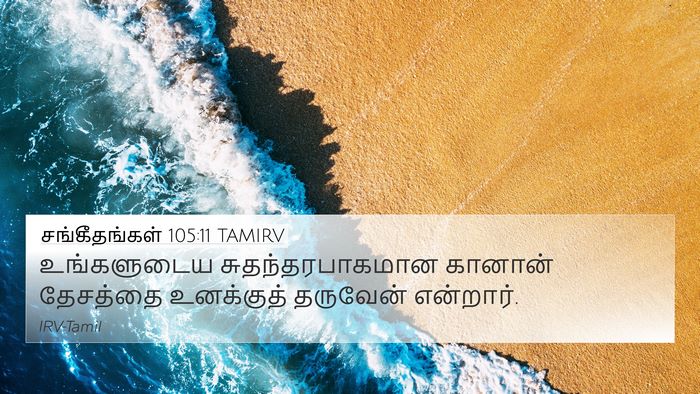சங்கீதங்கள் 105:11 TAMIRV Bible Verse Image