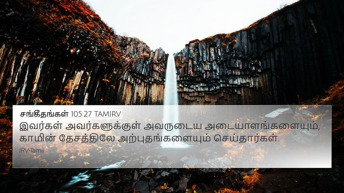 சங்கீதங்கள் 105:27 TAMIRV Bible Verse Image