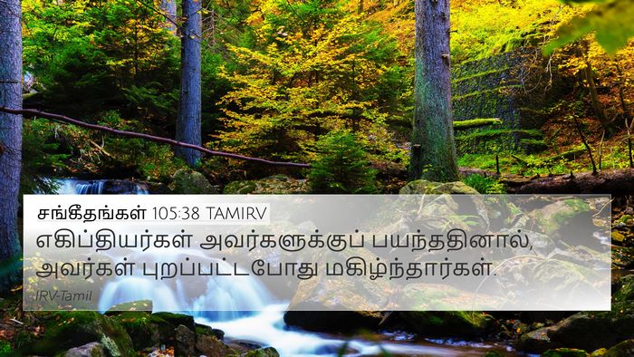 சங்கீதங்கள் 105:38 TAMIRV Bible Verse Image
