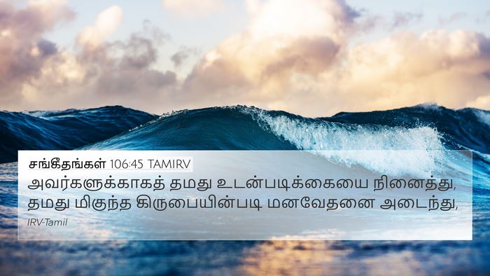 சங்கீதங்கள் 106:45 TAMIRV Bible Verse Image