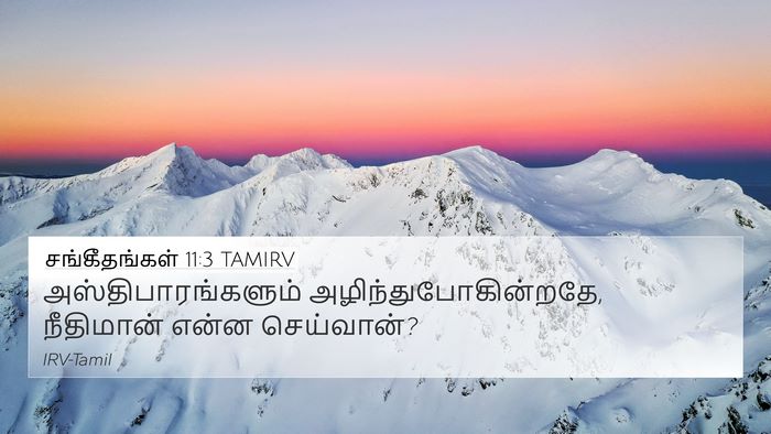 சங்கீதங்கள் 11:3 TAMIRV 4K Wallpaper - அஸ்திபாரங்களும் - 4K Wallpaper Bible Verse