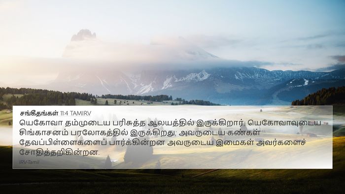 சங்கீதங்கள் 11:4 TAMIRV Bible Verse Image