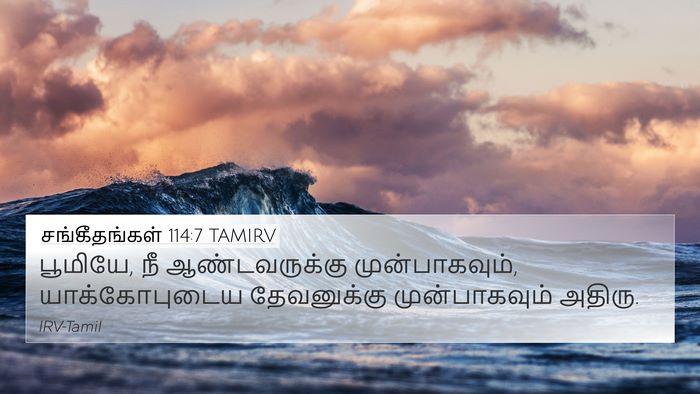 சங்கீதங்கள் 114:7 TAMIRV 4K Wallpaper - பூமியே, நீ - 4K Wallpaper Bible Verse