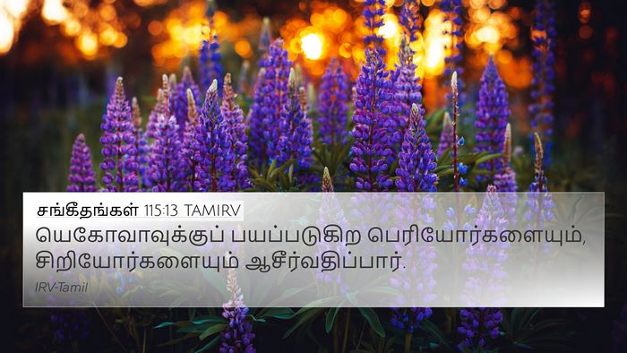 சங்கீதங்கள் 115:13 TAMIRV Bible Verse Image