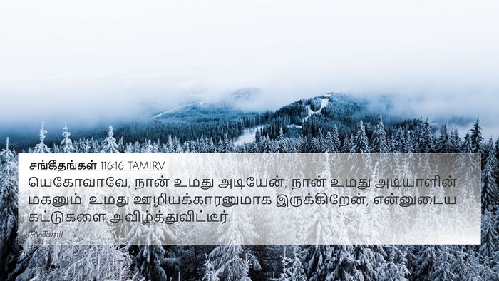 சங்கீதங்கள் 116:16 TAMIRV Bible Verse Image