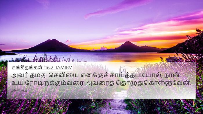 சங்கீதங்கள் 116:2 TAMIRV Bible Verse Image