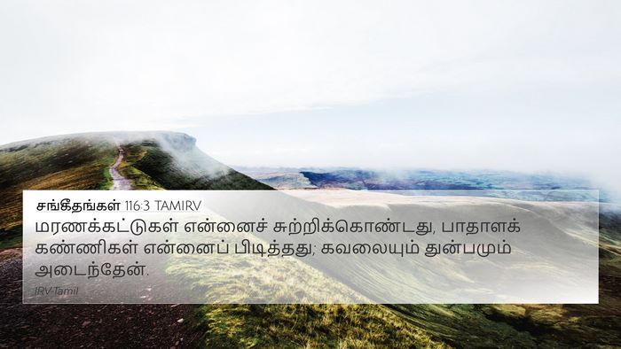 சங்கீதங்கள் 116:3 TAMIRV Bible Verse Image