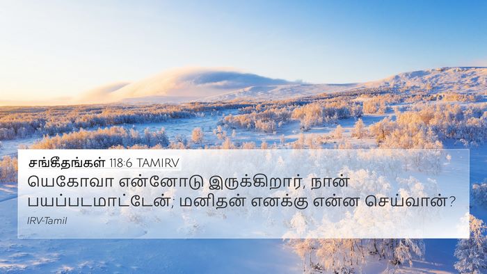 சங்கீதங்கள் 118:6 TAMIRV Bible Verse Image