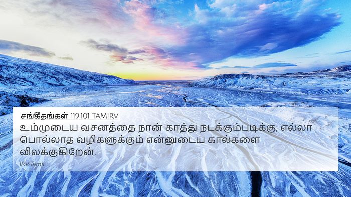 சங்கீதங்கள் 119:101 TAMIRV Bible Verse Image