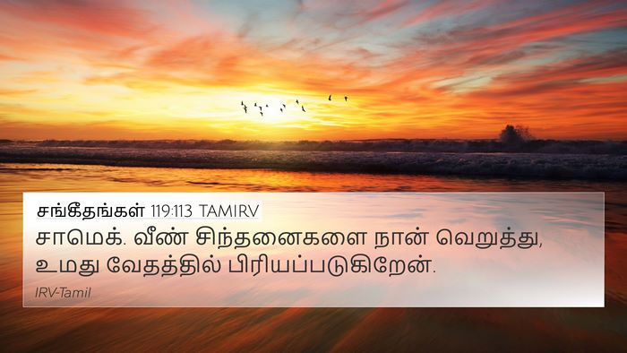 சங்கீதங்கள் 119:113 TAMIRV Bible Verse Image