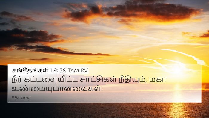 சங்கீதங்கள் 119:138 TAMIRV Bible Verse Image