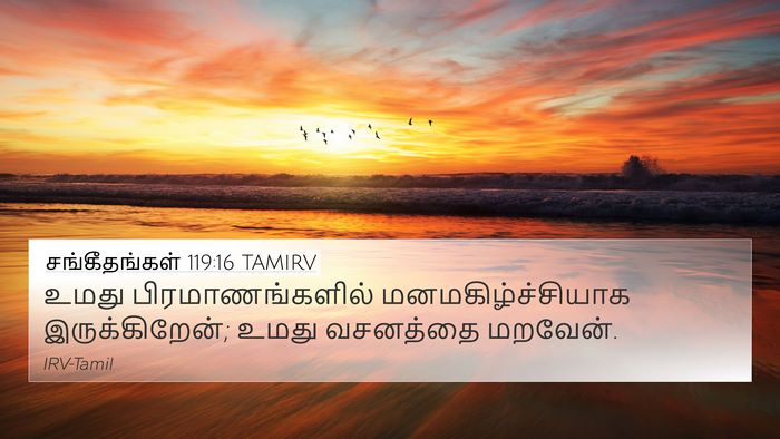 சங்கீதங்கள் 119:16 TAMIRV Bible Verse Image