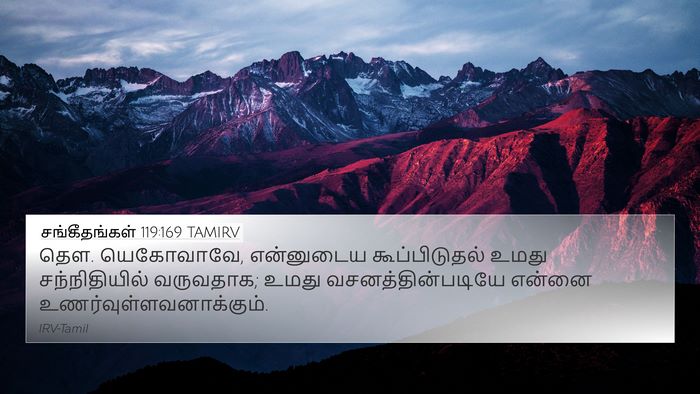 சங்கீதங்கள் 119:169 TAMIRV Bible Verse Image