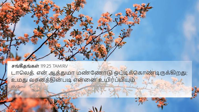 சங்கீதங்கள் 119:25 TAMIRV Bible Verse Image