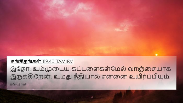 சங்கீதங்கள் 119:40 TAMIRV Bible Verse Image