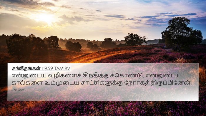 சங்கீதங்கள் 119:59 TAMIRV Bible Verse Image