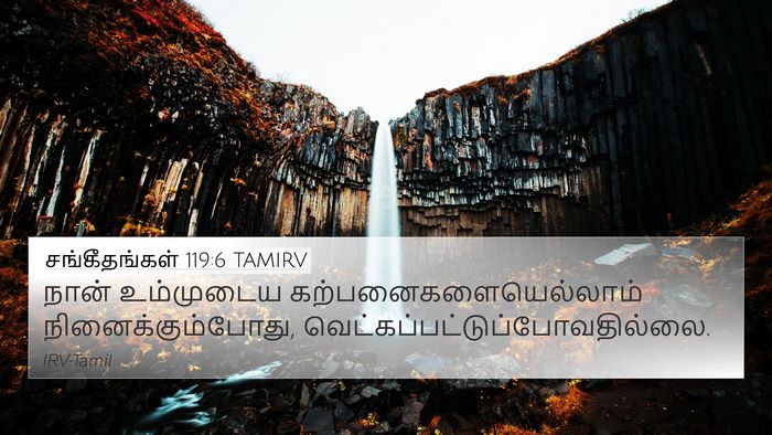 சங்கீதங்கள் 119:6 TAMIRV Bible Verse Image
