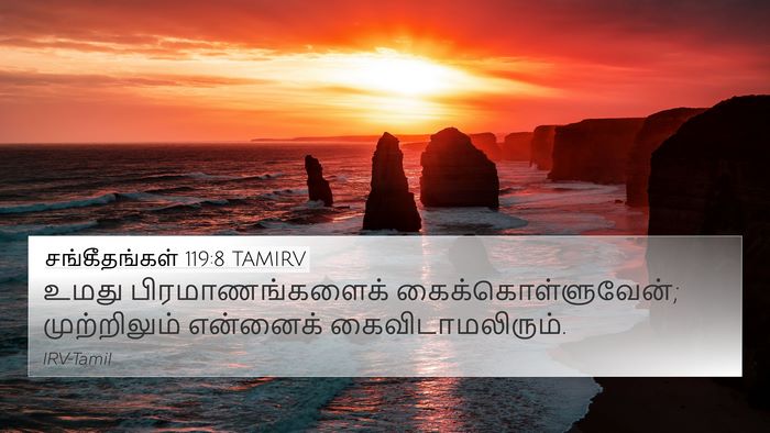 சங்கீதங்கள் 119:8 TAMIRV Bible Verse Image