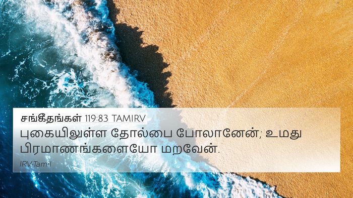 சங்கீதங்கள் 119:83 TAMIRV Bible Verse Image