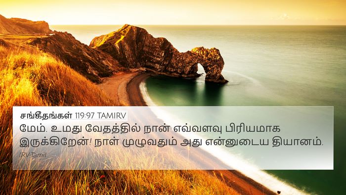 சங்கீதங்கள் 119:97 TAMIRV Bible Verse Image
