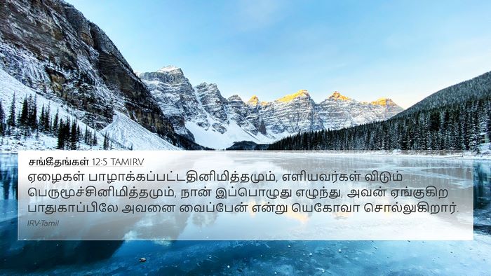 சங்கீதங்கள் 12:5 TAMIRV Bible Verse Image
