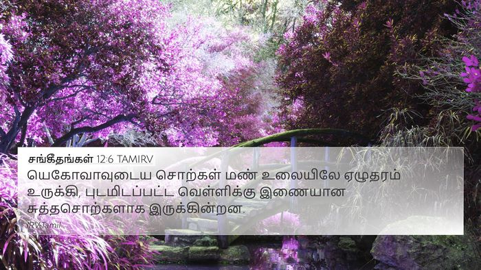 சங்கீதங்கள் 12:6 TAMIRV Bible Verse Image