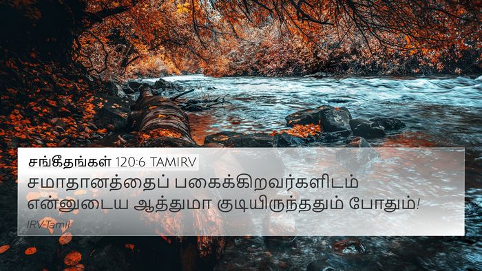 சங்கீதங்கள் 120:6 TAMIRV Bible Verse Image