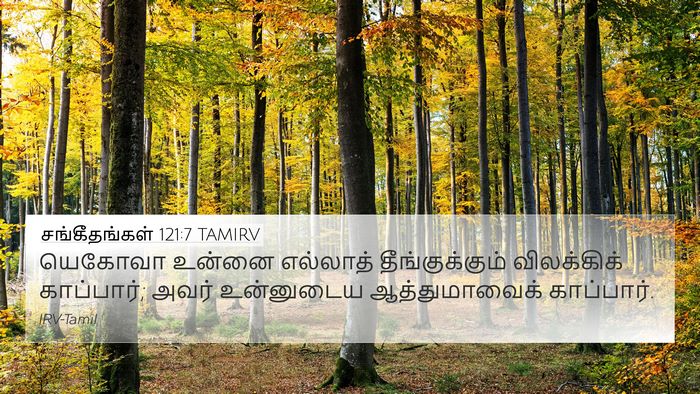 சங்கீதங்கள் 121:7 TAMIRV Bible Verse Image