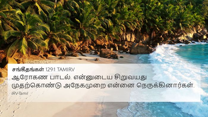 சங்கீதங்கள் 129:1 TAMIRV Bible Verse Image