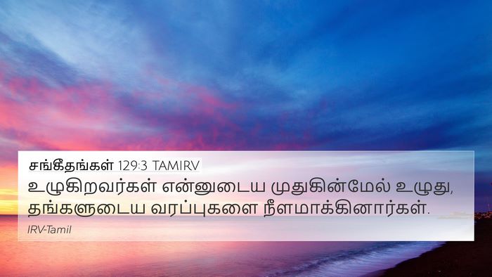 சங்கீதங்கள் 129:3 TAMIRV Bible Verse Image