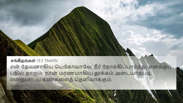 சங்கீதங்கள் 13:3 TAMIRV Bible Verse Image