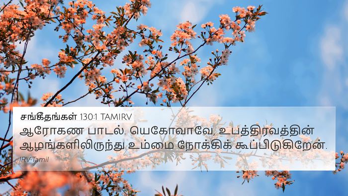சங்கீதங்கள் 130:1 TAMIRV Bible Verse Image