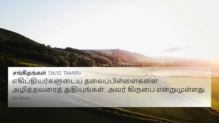 சங்கீதங்கள் 136:10 TAMIRV Bible Verse Image