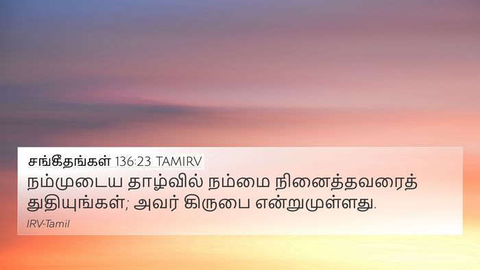 சங்கீதங்கள் 136:23 TAMIRV Bible Verse Image