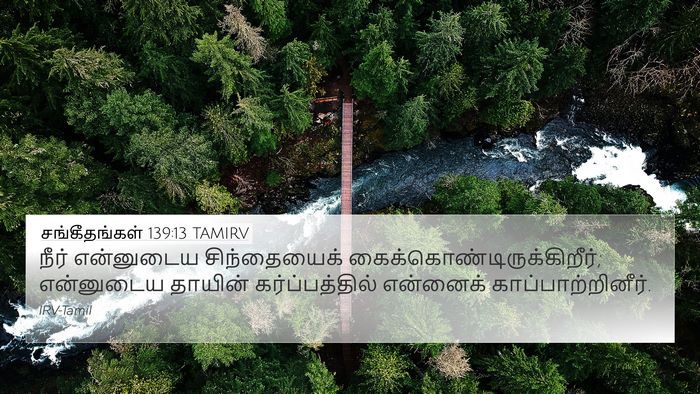 சங்கீதங்கள் 139:13 TAMIRV Bible Verse Image
