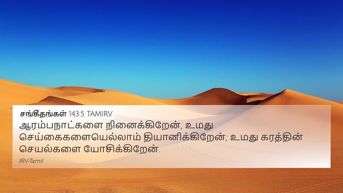 சங்கீதங்கள் 143:5 TAMIRV Bible Verse Image