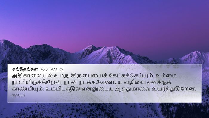 சங்கீதங்கள் 143:8 TAMIRV Bible Verse Image