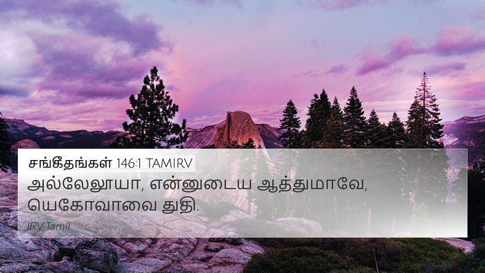 சங்கீதங்கள் 146:1 TAMIRV Bible Verse Image