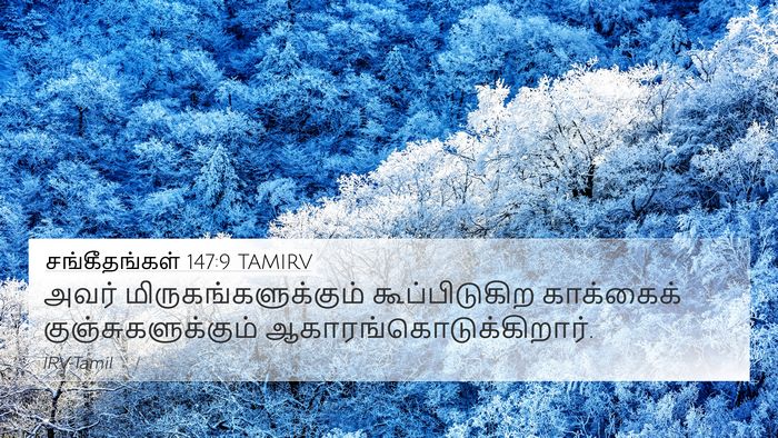சங்கீதங்கள் 147:9 TAMIRV Bible Verse Image