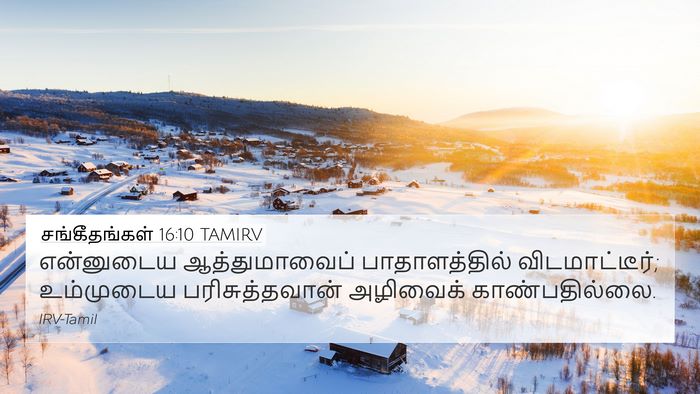 சங்கீதங்கள் 16:10 TAMIRV Bible Verse Image