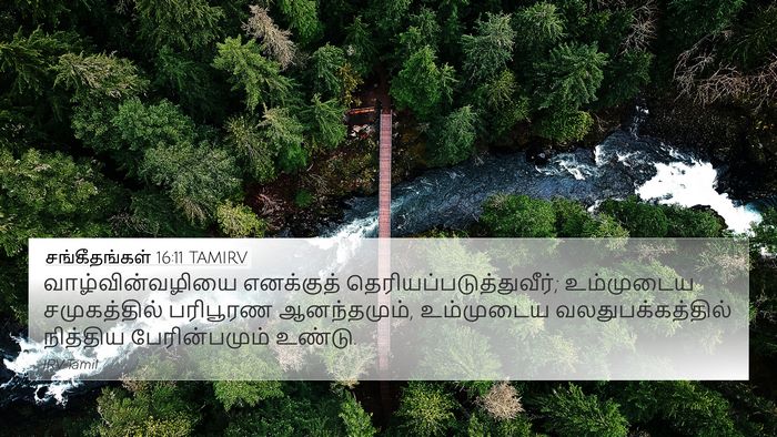 சங்கீதங்கள் 16:11 TAMIRV Bible Verse Image