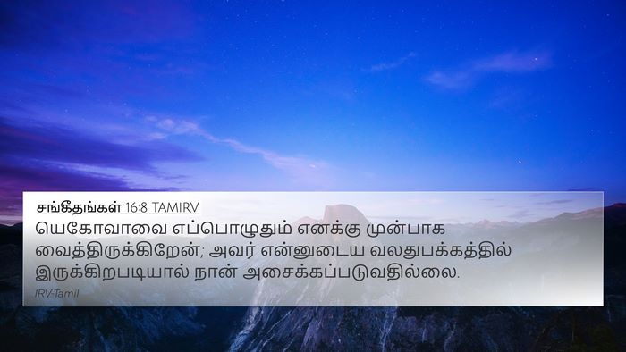 சங்கீதங்கள் 16:8 TAMIRV Bible Verse Image