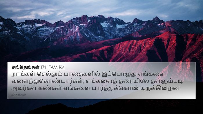 சங்கீதங்கள் 17:11 TAMIRV Bible Verse Image