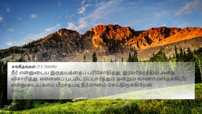 சங்கீதங்கள் 17:3 TAMIRV Bible Verse Image